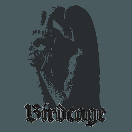 Gargoyle Print